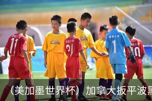 （美加墨世界杯）加拿大扳平波黑 获队史世界杯首分