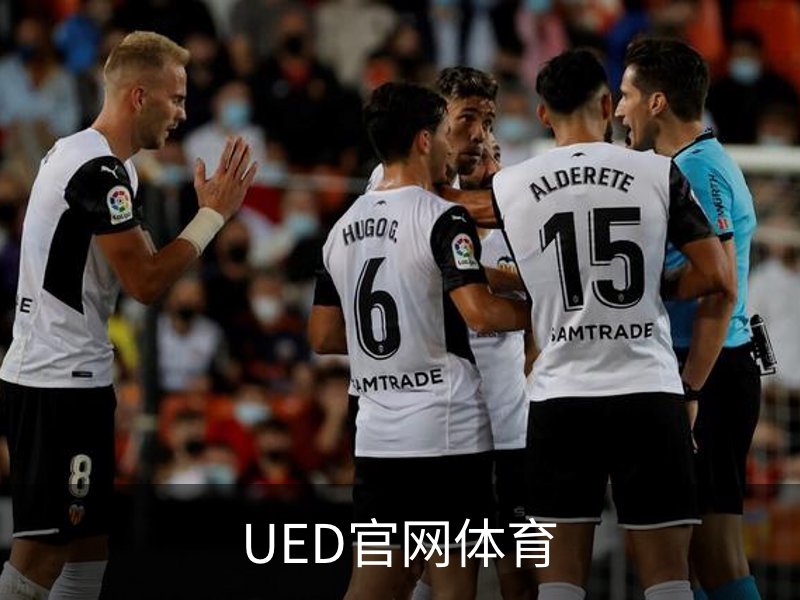 UED官网体育概况